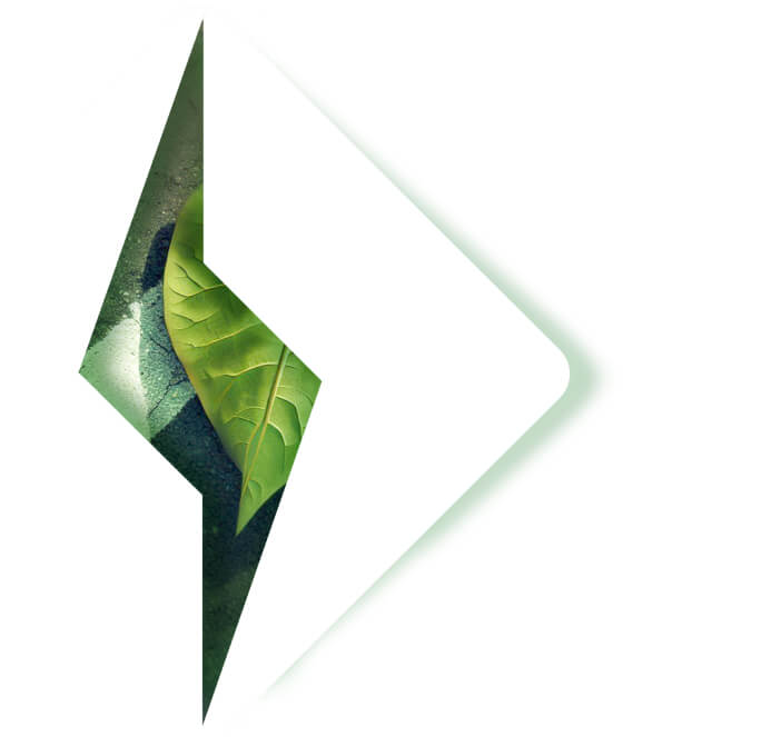 >Citycoco | Kupnja električnog romobila, bicikla ili skutera izvrsna je odluka!