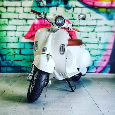 CityCoco EV2000 električni moped 3kW 60V 40Ah                                  