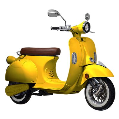 CityCoco EV2000 električni moped 3kW 60V 40Ah                                   1001